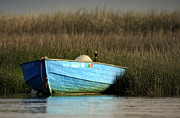 Blue Boat Eastham Cape Cod Boat Meadow Creek Photograph by Darius Aniunas