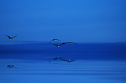 Blue Dawn Digital Art by JGracey Stinson