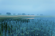 Blue morning flash Photograph by Jorge Maia