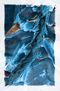 Blue Pattern 1 Photograph by Jonathan Nguyen