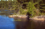Blue Pond Marsh Digital Art by JGracey Stinson