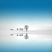 Blue Season Photograph by Philippe Sainte-Laudy