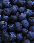Blueberries Close-Up - Vertical Photograph by Carol Groenen