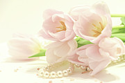 Blush Photograph by Holly Ross