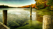 Blydenberg Park in the Fall Photograph by Alissa Beth Photography