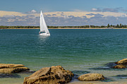  Boat on Pittwater Photograph by Werner Padarin