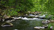 Bodetal, Harz Photograph by Andreas Levi