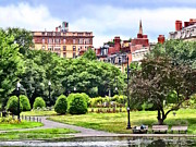 Boston MA - Relaxing in Boston Public Garden Photograph by Susan Savad Boston MA - Relaxing in Boston Public Garden Photograph by Susan Savad