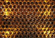Bottles of Beer on the Wall Photograph by Sandra Lee Scott