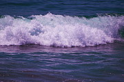 Bougainvillea Beaches Pacific Ocean Photograph by Colleen Cornelius Bougainvillea Beaches Pacific Ocean Photograph by Colleen Cornelius