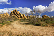 Boulders At Apple Valley Photograph by James Eddy Boulders At Apple Valley Photograph by James Eddy