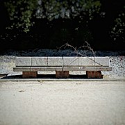 Branch On A Bench
#urban #landscape Photograph by Rafa Rivas
