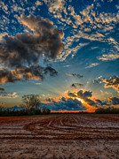 Breaking Through Photograph by Brad Boland