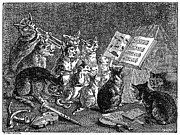 Breughel: Concert Of Cats Photograph by Granger