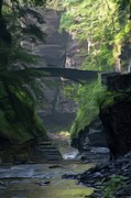 Bridge at Treman Gorge Photograph by Monroe Payne