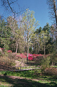 Bridge Walkway Photograph by Allen Nice-Webb Bridge Walkway Photograph by Allen Nice-Webb
