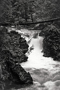 Bridged Photograph by David Hillier