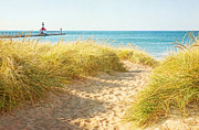 Bright Sunshiny Day Photograph by Kathi Mirto