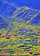 Brilliant Fall Colors of Glenwood Springs Photograph by Ray Mathis