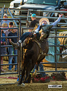Bronc rider #1 Photograph by Jeff Kurtz