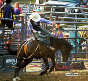 Bronc Rider #2 Photograph by Jeff Kurtz