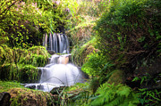 Bronte Waterfall Photograph by Mariusz Talarek