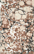 Brown Battal #2 Painting by Daniela Easter