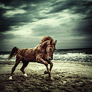 Brown horse galloping on the coastline Photograph by Dimitar Hristov