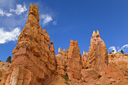 Bryce Canyon Hoodoos Photograph by Yva Momatiuk John Eastcontt
