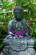 Buddha Photograph by Bradley Dever