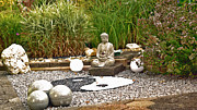 Buddha looks at Yin and Yang Photograph by Eva-Maria Di Bella