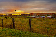 Buffalo Farm Sunset Photograph by Susan Candelario Buffalo Farm Sunset Photograph by Susan Candelario