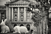 Bunnies #5 Photograph by Jessica Levant