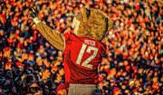 Butch Cougar Photograph by Ed Broberg