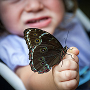 Butterfly a Helping Hand Photograph by Ron White