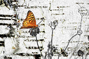 Butterfly Digital Art by K Bradley Washburn Butterfly Digital Art by K Bradley Washburn