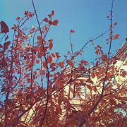 By the Autumn Tree 2 Photograph by Onedayoneimage Photography By the Autumn Tree 2 Photograph by Onedayoneimage Photography