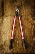 Tools On Wood 1 Photograph by YoPedro