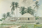 Cabins, Nassau Painting by Winslow Homer