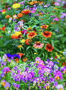 Summer Symphony of Color Photograph by Brian Tada