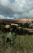 Cacti and Granite Photograph by Karen Musick