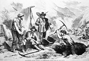 California Gold Rush, 1856 Photograph by Granger