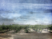 California Vineyard- Art by Linda Woods Mixed Media by Linda Woods California Vineyard- Art by Linda Woods Mixed Media by Linda Woods