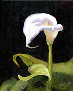 Calla Lily Painting by Alice Leggett