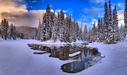 Canadian Rockies Yoho Reflections Photograph by Adam Jewell