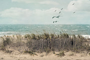Cape Cod Beach Scene Photograph by Juli Scalzi