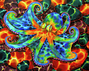 Caribbean Octopus on Stone Bottom Painting by Daniel Jean-Baptiste