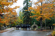 Carriage Ride Photograph by Jackson Pearson Carriage Ride Photograph by Jackson Pearson