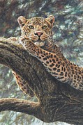 Catching the Sun Painting by Alan M Hunt