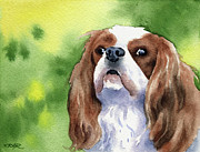 Cavalier King Charles Spaniel Painting by David Rogers